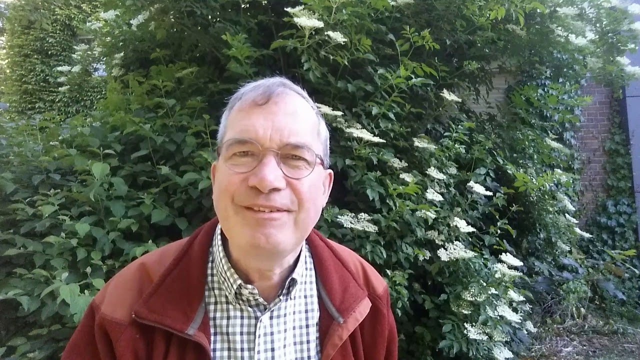 Youtube Vorschau - Video ID 0Z18WHn9CM0