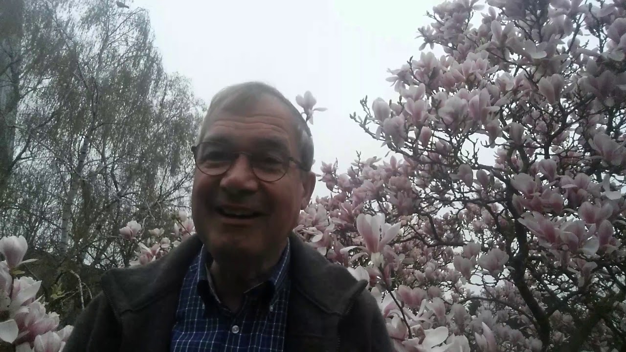 Youtube Vorschau - Video ID 3MJD66hI1e4