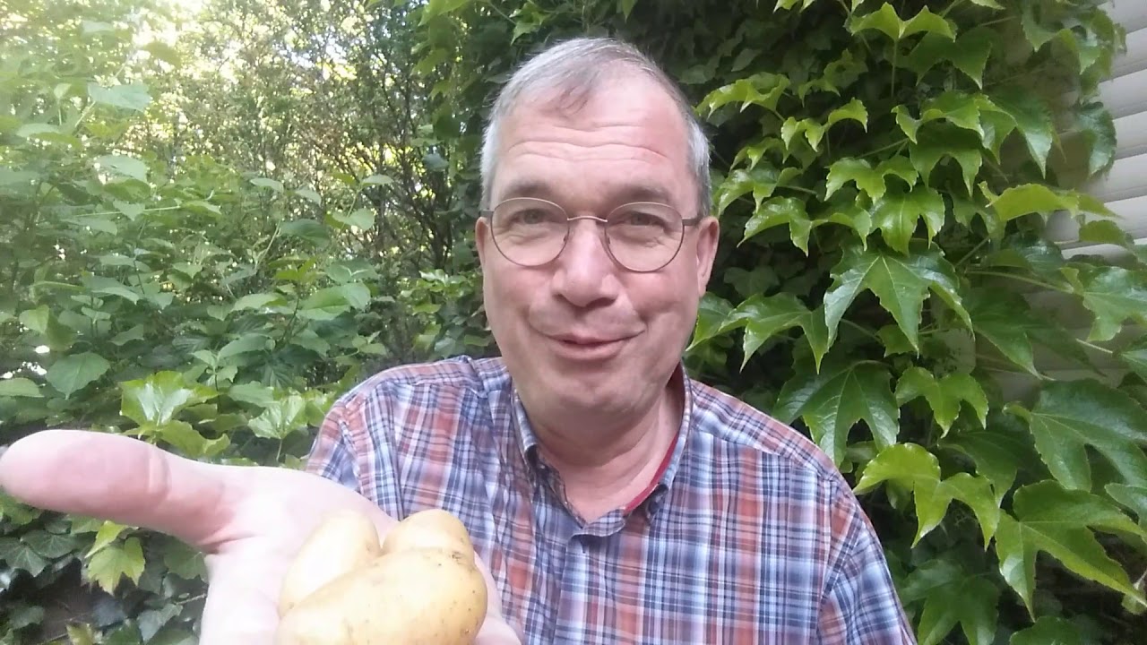 Youtube Vorschau - Video ID WLAH8-iG29Q