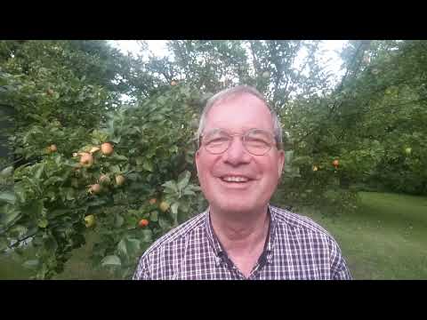 Youtube Vorschau - Video ID fAf2xYxH2d0