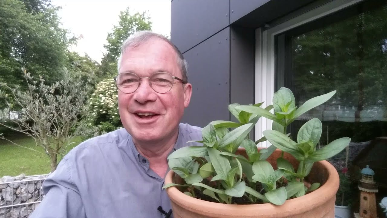 Youtube Vorschau - Video ID nSM1L9JJHm4
