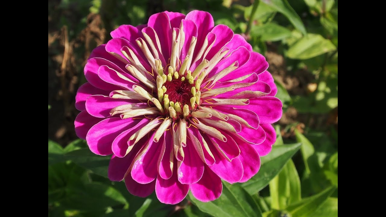 Youtube Vorschau - Video ID yew_PnMX7hA